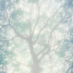 新婚夜被强伦无删减版
