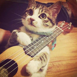 新婚夜被强伦无删减版
